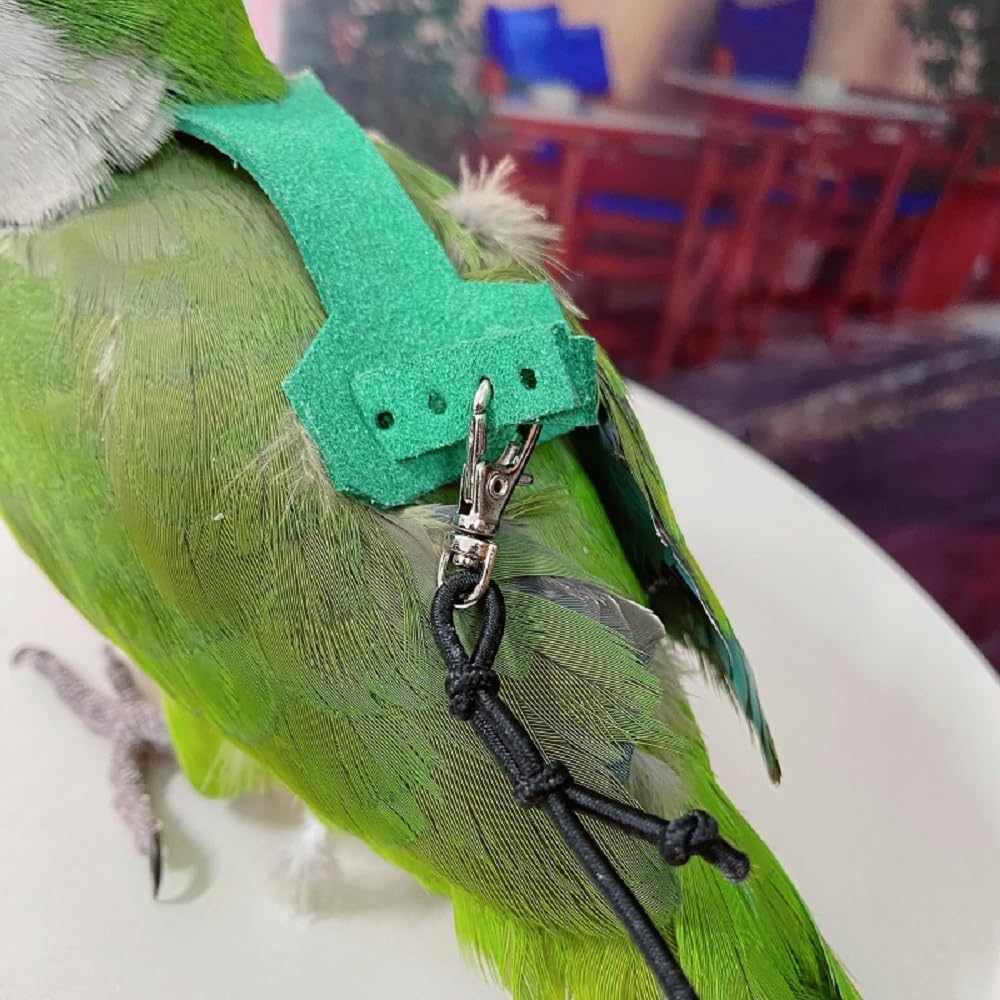 Bird Flight Harness Vest, Parrot Flight Suit with Leash for Parakeets, Bird Flying Clothes with Rope and Handle for Outdoor Activities Training, Anti Bite (XS)