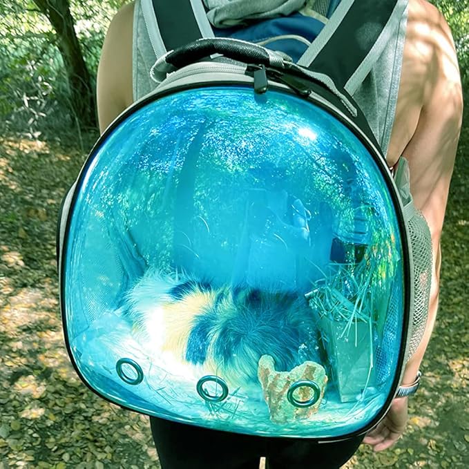 Bearded Dragon Travel Carrier Backpack - Image 7