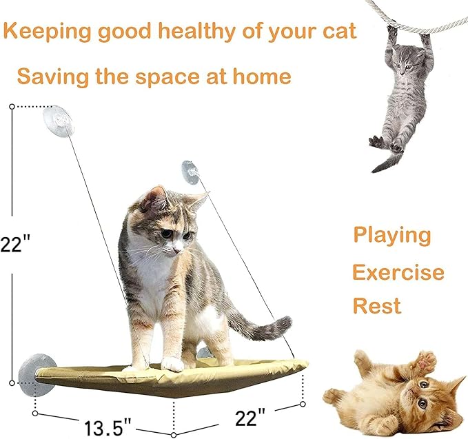 Cat Hammock with Suction Cups - Image 4
