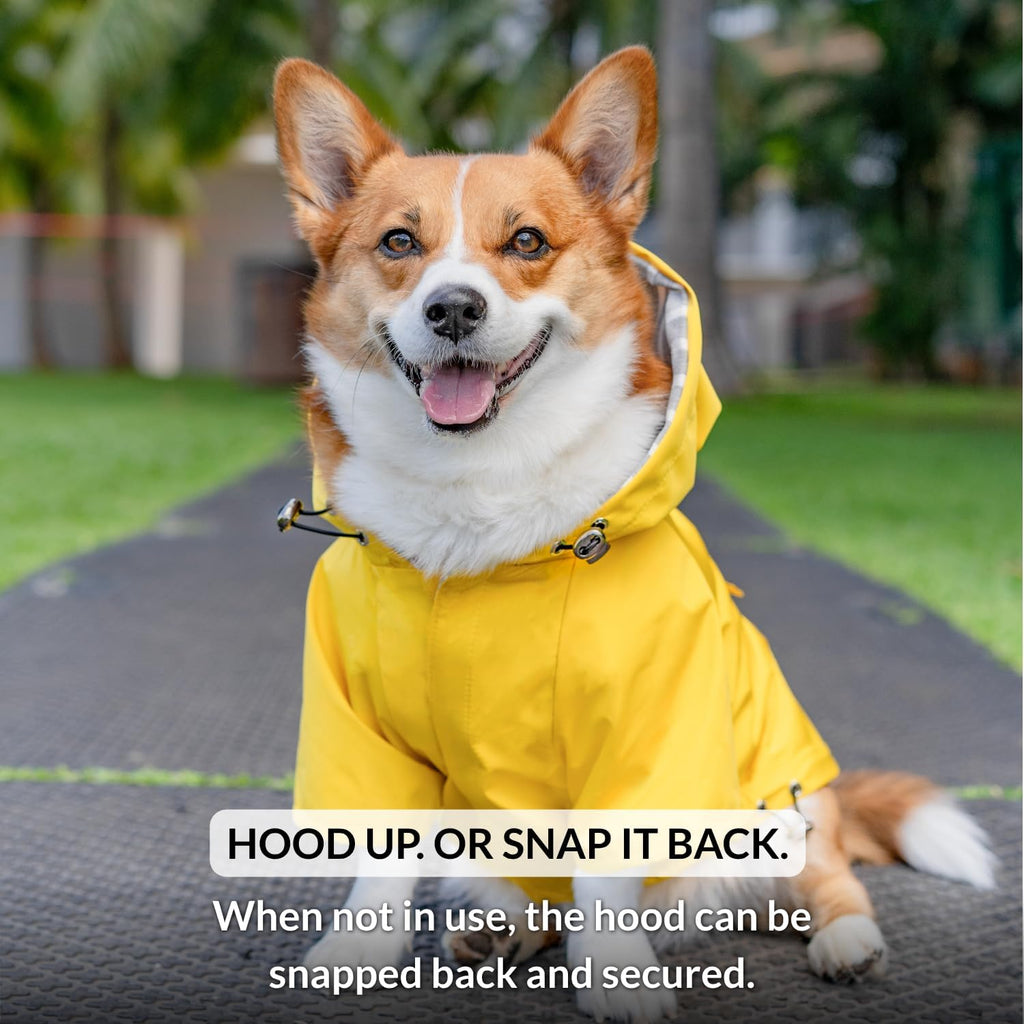 DJANGO Highland Dog Raincoat & Soft-Lined Rain Jacket - Yellow, Medium
