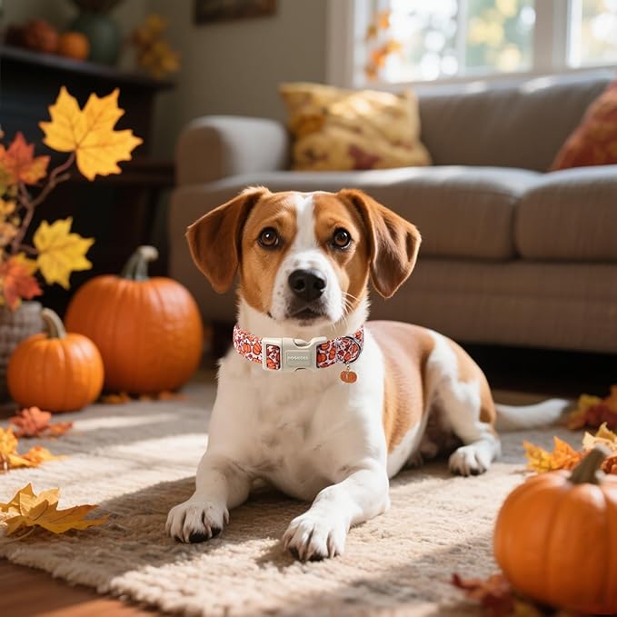 DOGWONG Pumpkin Dog Collar- Cute Pink Fall Dog Collars Adjustable Maple Fall - Image 4
