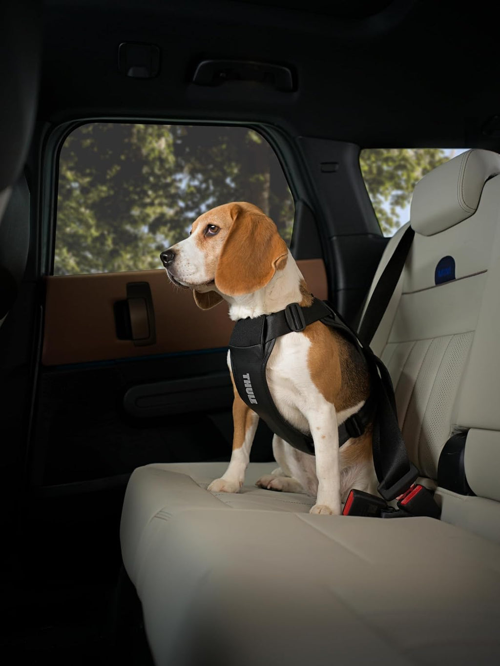 Thule Cappy Dog Harness L, Seatbelt Passthrough, Leash Loop, Step-in Design