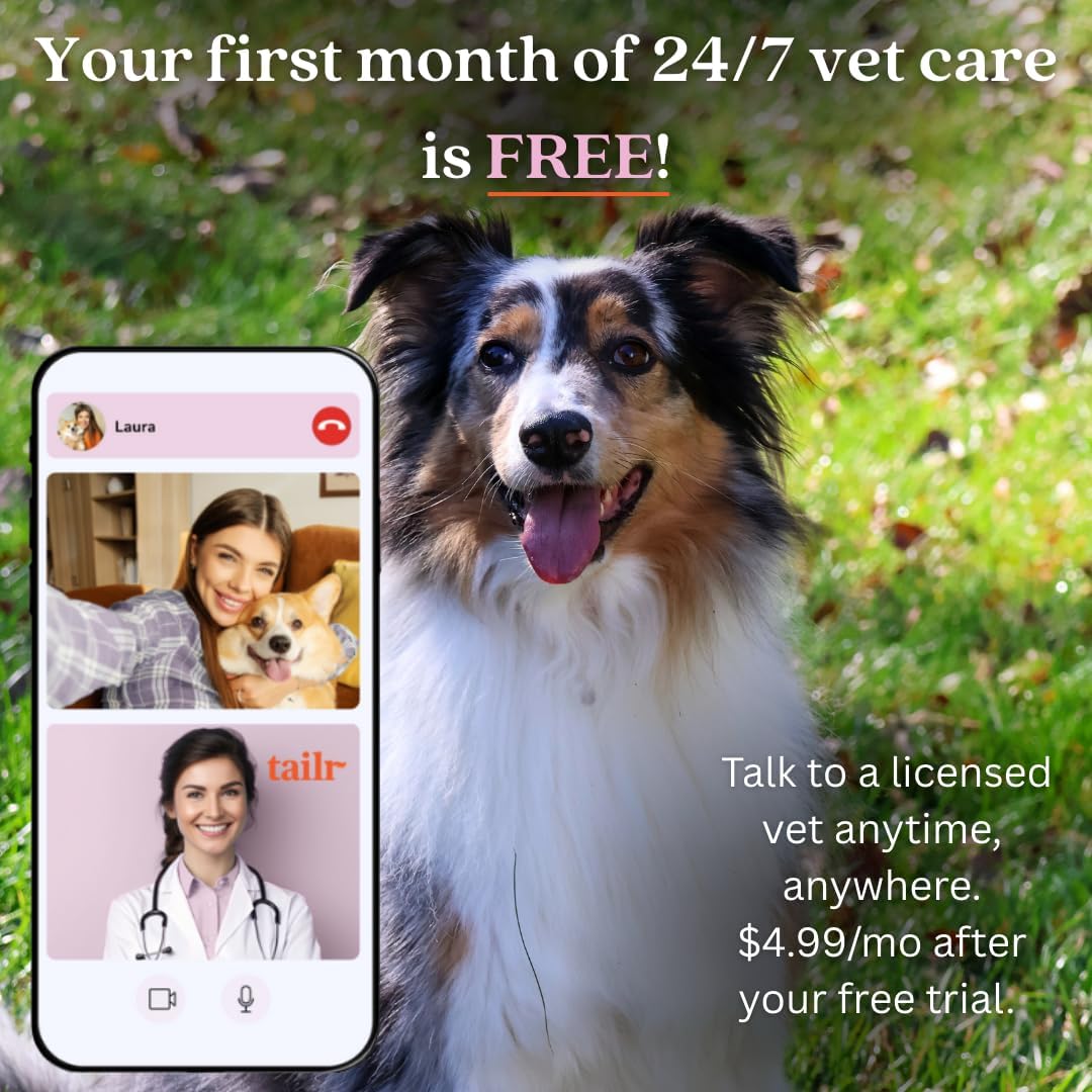 Slide-On Pet ID QR Tag, Gold-Plated Military-Grade Steel, Includes Free Digital Pet Profile App with Health Records Manager & Document Hub (Medium)
