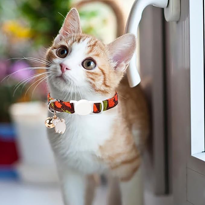 Unique style paws 2 Pack Kitten Collar Breakaway - Image 5