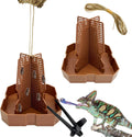2PCS Reptile Hunting Bowl,5.8"×5.8"×6.1" H Insect Feeding Box with Rope and Tweezers Chameleon Feeder Bowls Hanging Bearded Dragon Bug Bowls Mounted Insect Reptile Feeder Box(Brown,Large)