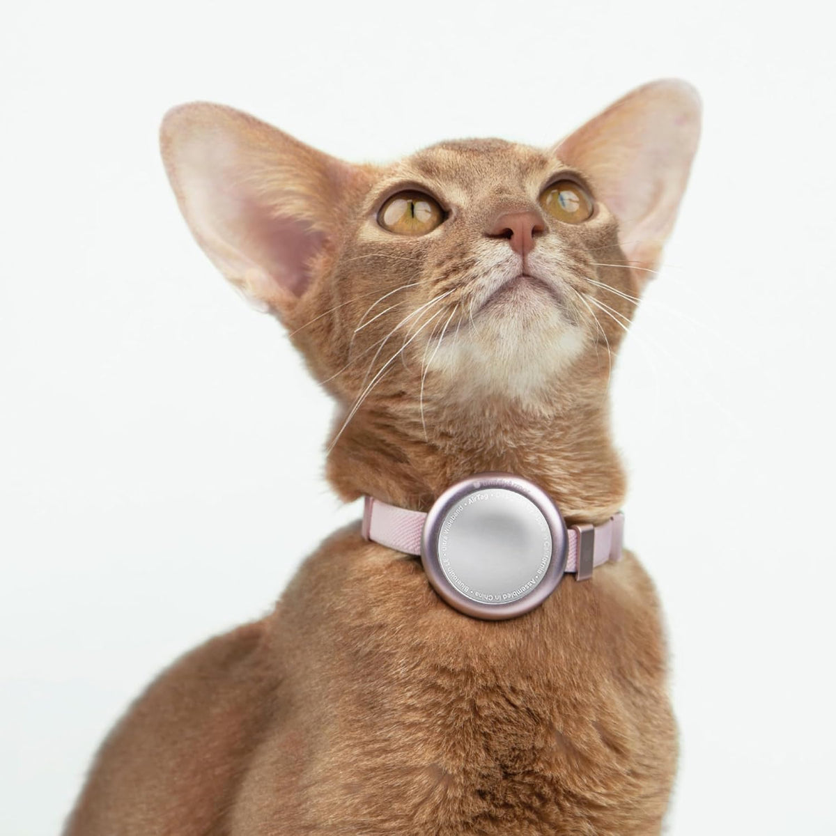 Pet Holder for Airtag Collar - Secure Fit for Airtag Case for Cat Dog Collars, No Dangling, Lightweight Anodized Aluminium for Airtag Holder for 0.4/0.6 inch Collar (Linen, S)