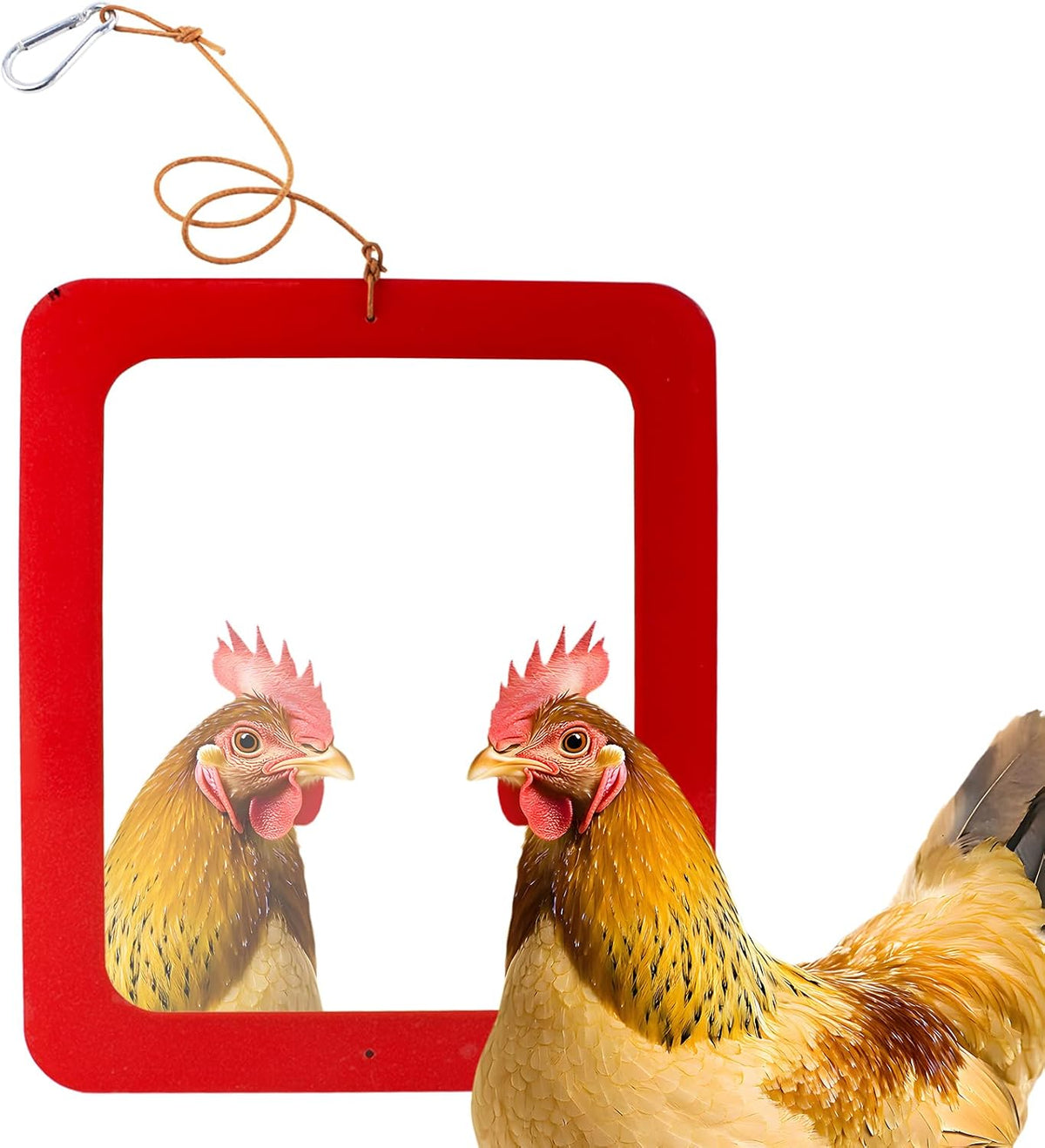 FlidRunest Extra-Large Size Chicken Mirror Toys for Coop, 11.8'' x 9.8'' Hanging Chicken Enrichment Swing Mirror Acrylic, Double-Sided Coop Accessories for Hens Birds Parrots Roosters Red