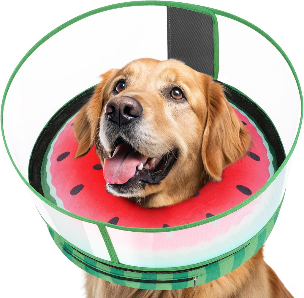 Inflatable Dog Cone with Anti-Licking Clear Shield, Fits Small Dogs