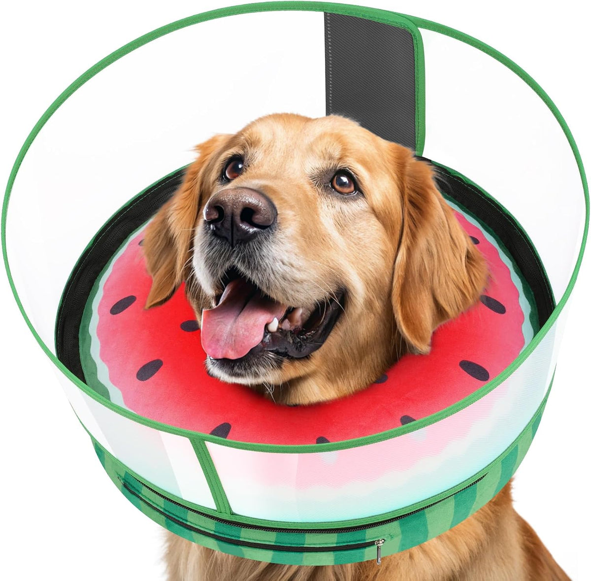 Inflatable Dog Cone with Anti-Licking Clear Shield, Fits Small Dogs