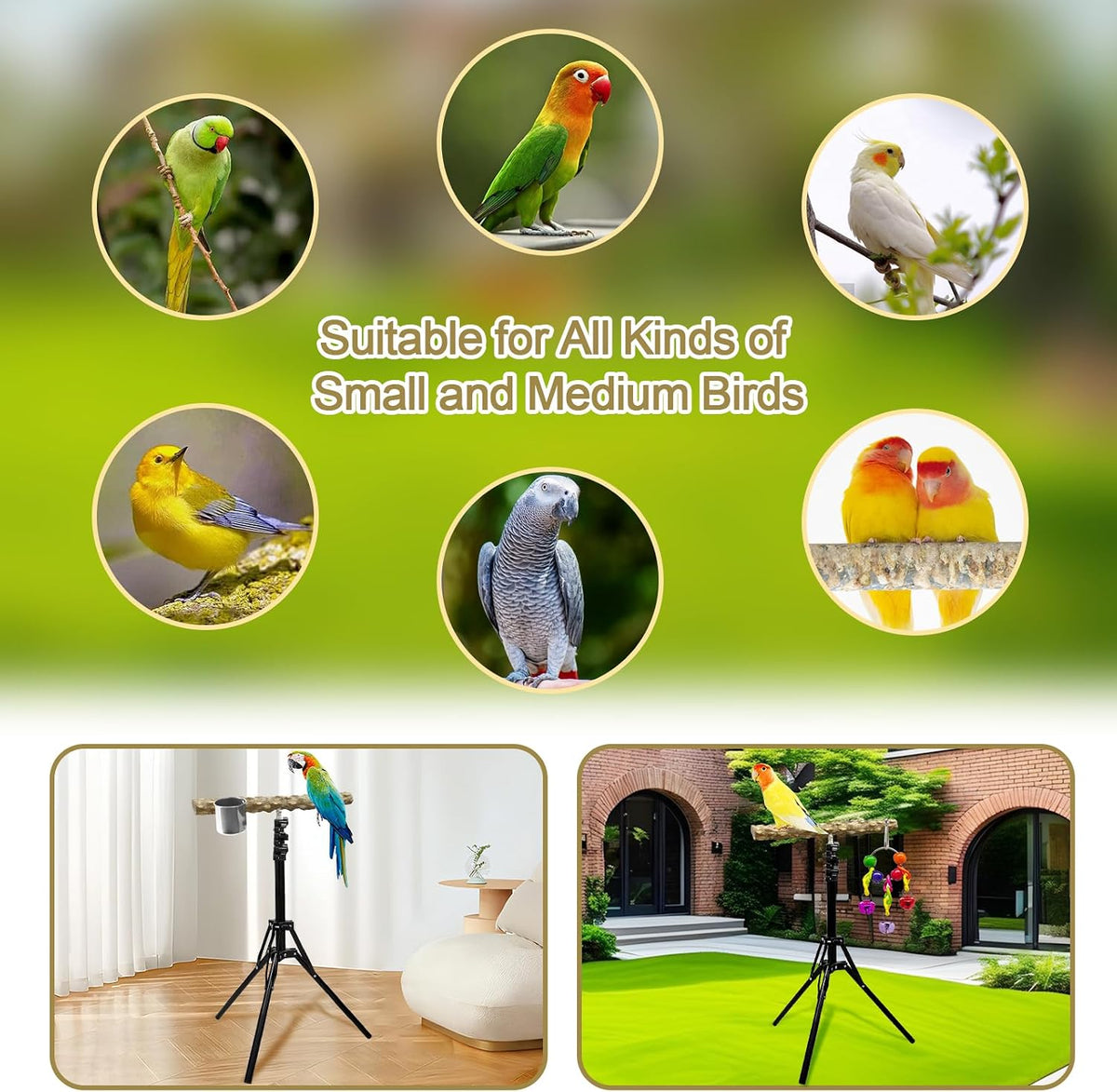 16-63 Inch Height Adjustable Bird Perch Pepper Wood Bird Training Perch Stand Parakeet Perches Indoor and Outdoor Parrot Stands for Small to Medium Bird