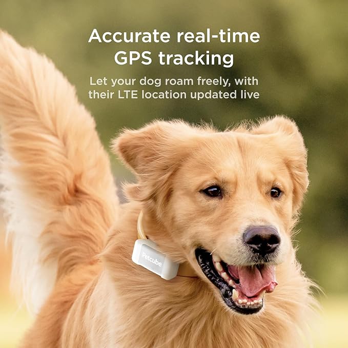 Petcube GPS Tracker for Dogs – Real-Time Location Tracking, Escape Alerts & - Image 2