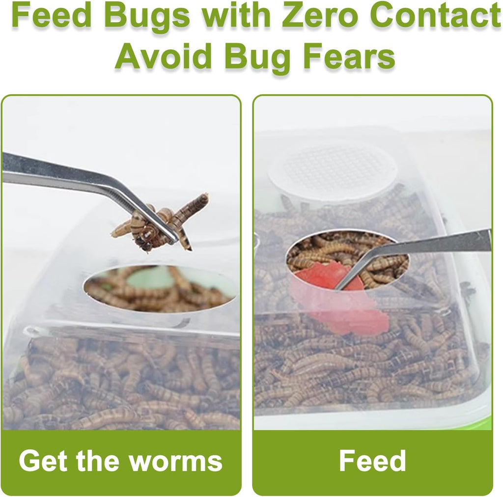 Mealworms Breeding Kit,Mealworms Keeper,Worm Farm with Insect Tweezers,is Used to Raise Your Own Meal Worms,to Breed Live Worms for Bearded Dragons,Leopard Geckos,Lizards,Frogs,Birds and Chickens
