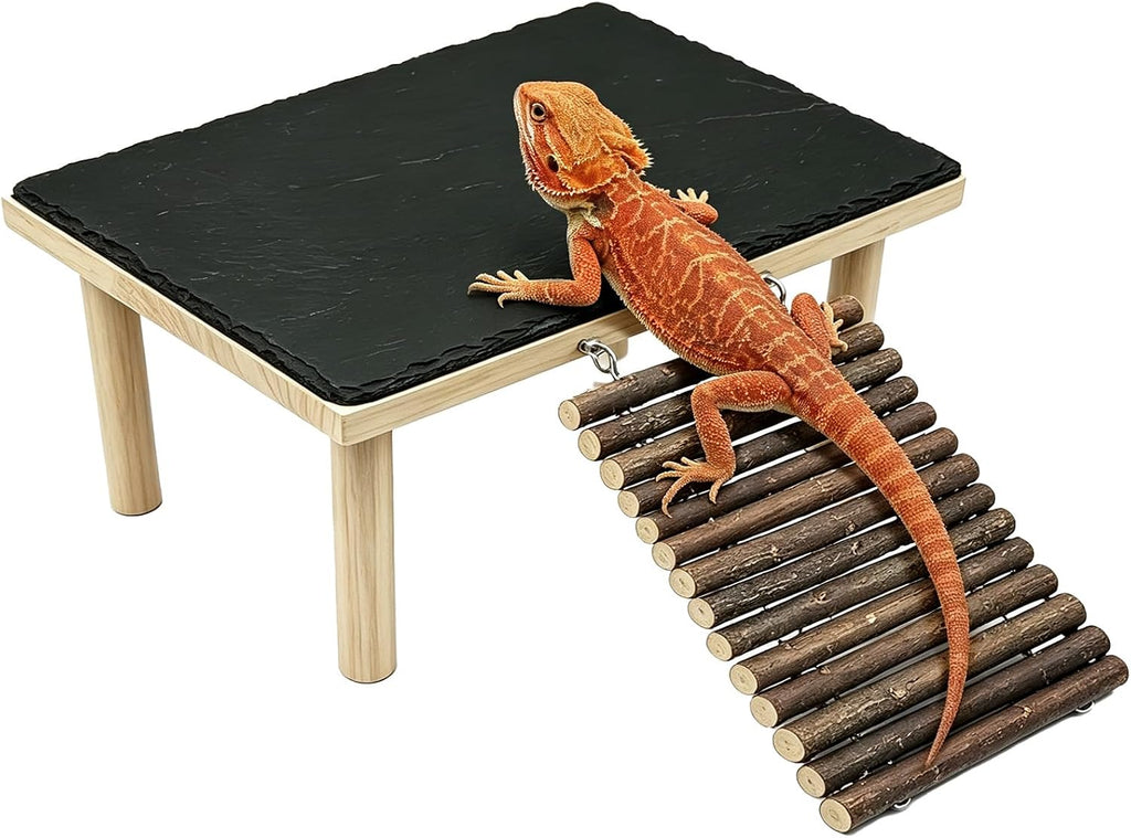 Bearded Dragon Basking Platform,Reptile Basking Rock with Climbing Ramp,M