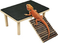 Bearded Dragon Basking Platform,Reptile Basking Rock with Climbing Ramp,M