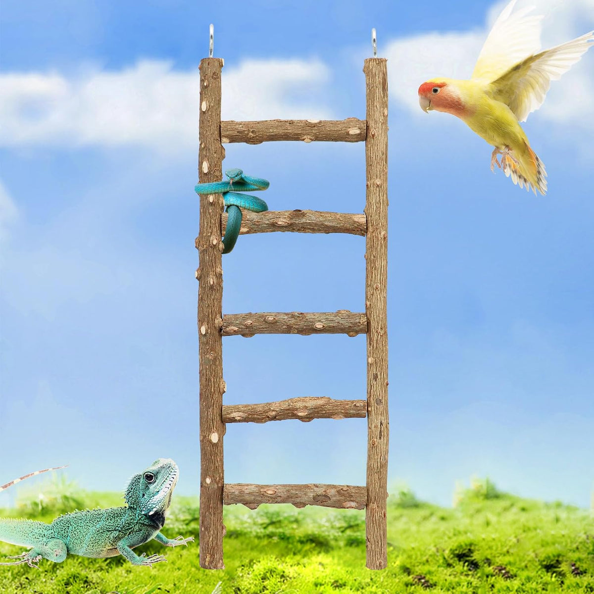 Natural Pepper Wood Parrot Ladder - Bird Climbing & Chewing Toy, Cage Accessory for Parrots, Parakeets, Cockatiels