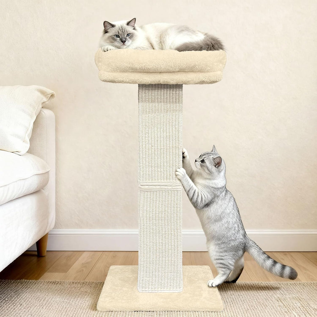 Cat Scratching Post with Plush Perch for Indoor Cats, 32 Inch, Beige