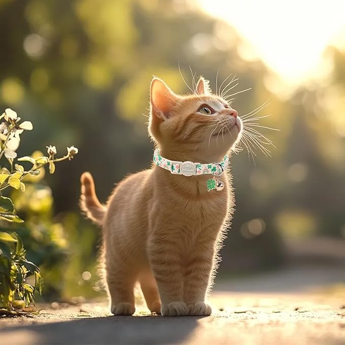 2 Pack St. Patrick’s Day Cat Collars - Image 6