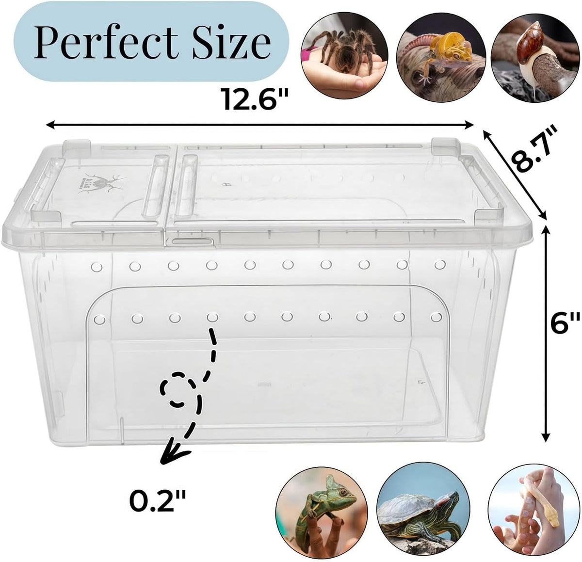 Tlence 2 Pack Critter Keeper, 12.6"x8.7"x6" Clear Plastic Enclosure Terrarium, Portable Transport Container with Feeding Bowl, Small Hatching Container with Ventilated Holes and Lid for Snake, Gecko