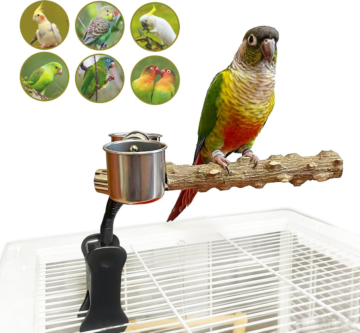 Bird Perch Stand with Clip, Adjustable & Portable Parrot Stand with Parrot Feeding Cups Bendable Training Perch for Cockatiels, Conures, Lovebirds ird cage Accessories