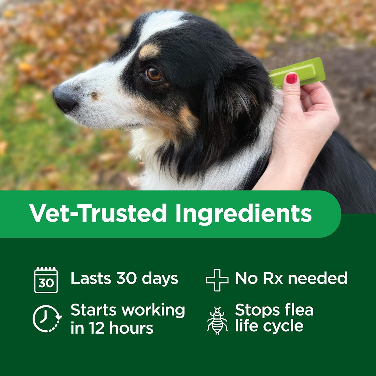 TevraPet Activate II Flea and Tick Prevention for Small Dogs, 4-10 lbs