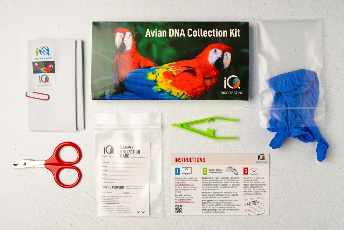 Bird DNA Gender Test Kit