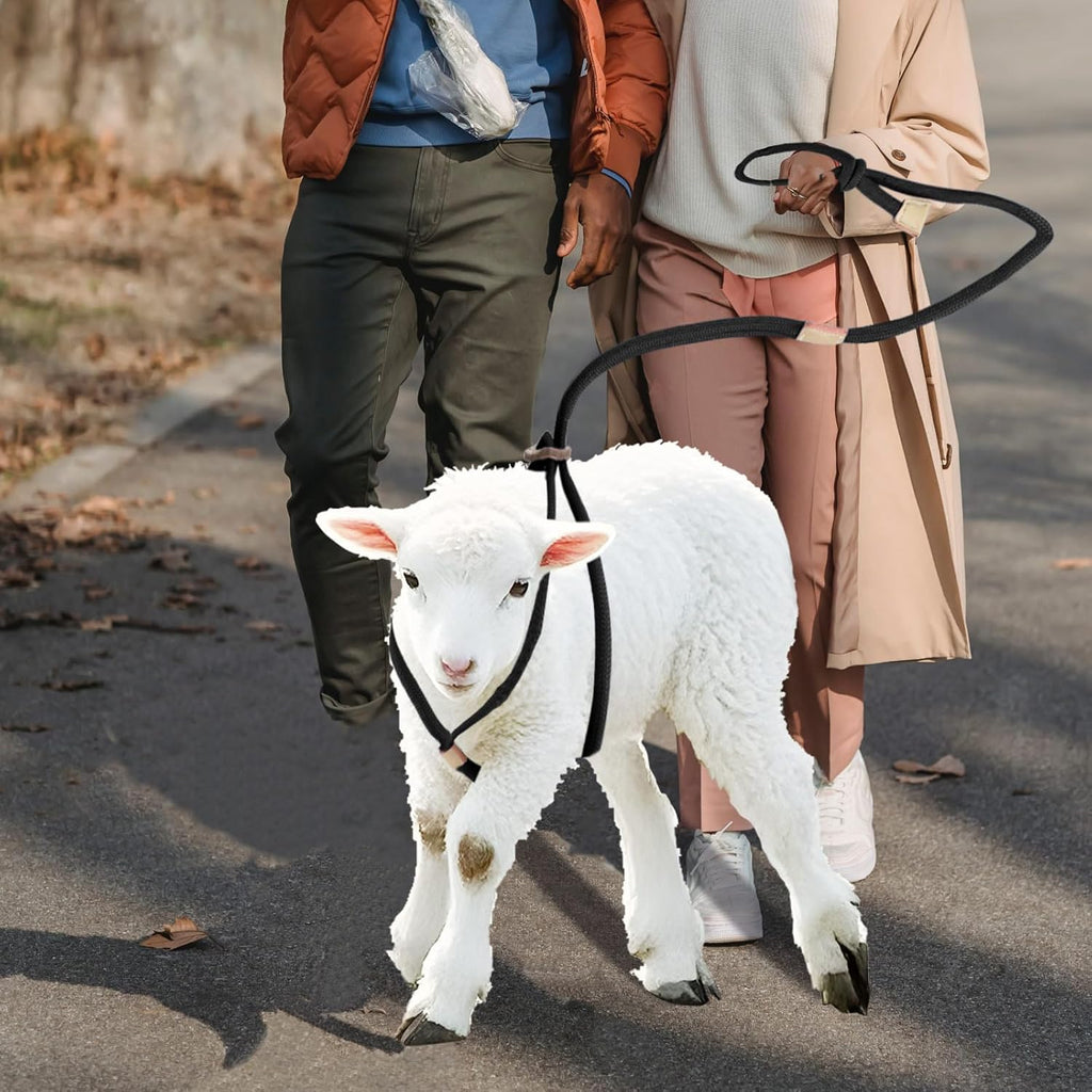 Goat Harness For Walking - Washable Goat Leash And Accessories - Livestock Supplies