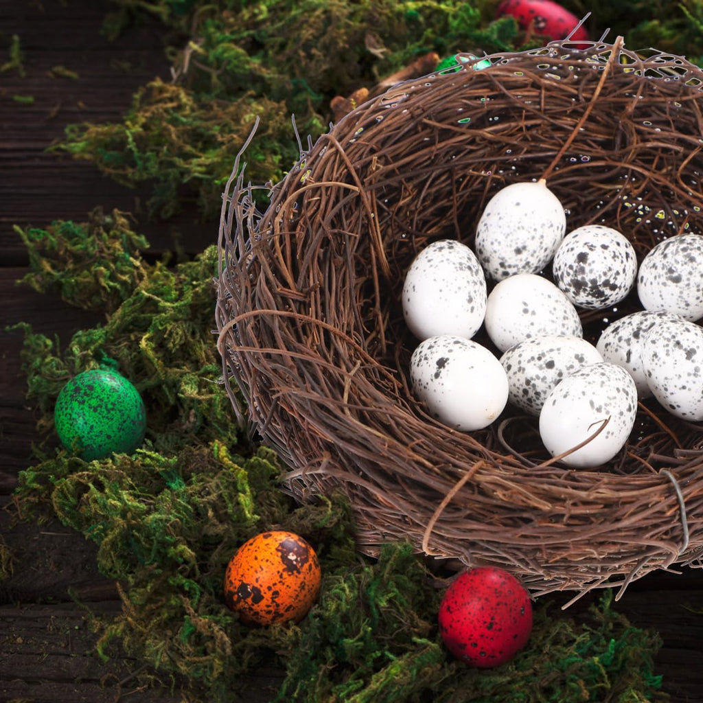 PRETYZOOM Easter Bird Nest Decoration Set - 2pcs Simulation Rattan Bird Nest with 10 Foam Eggs, DIY Craft Kit for Home Decor, Party, and Arts