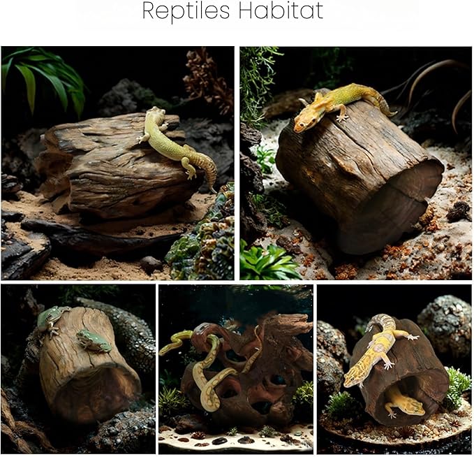Betta Wood Tunnel Tube, Betta Fish Toys Hideout - Image 5
