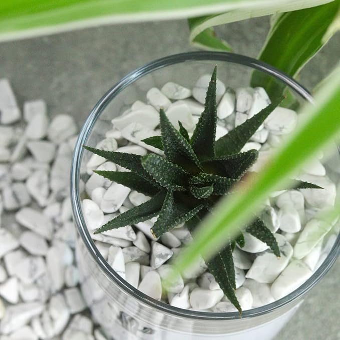 1lb Howlite Aquarium Gravel Rocks Natural Tumbled Healing Crystal Chips Bulk - Image 4