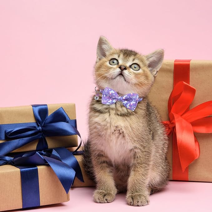 SCENEREAL Cat Collar with Bells, Safety Kitten Collar - Image 7