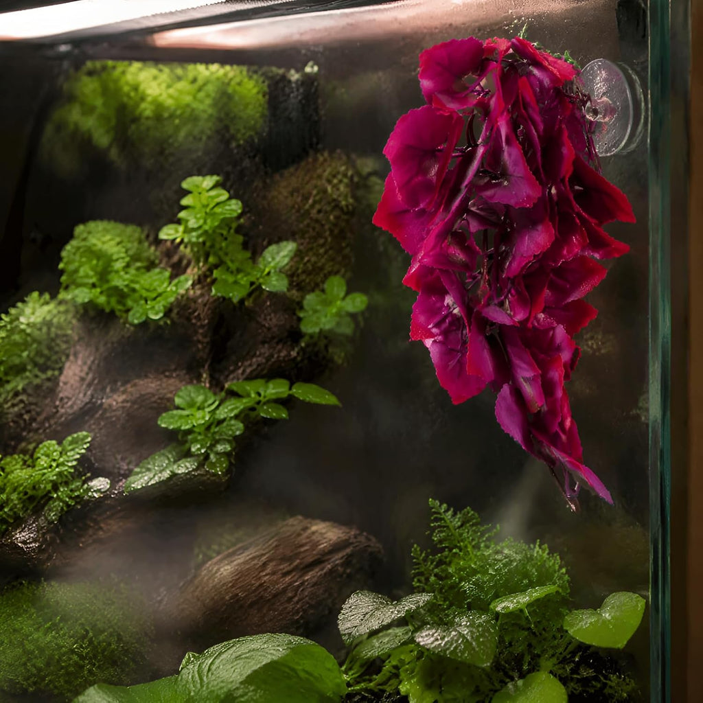 Artificial Reptile Plant with Suction Cup,Purple Leaf