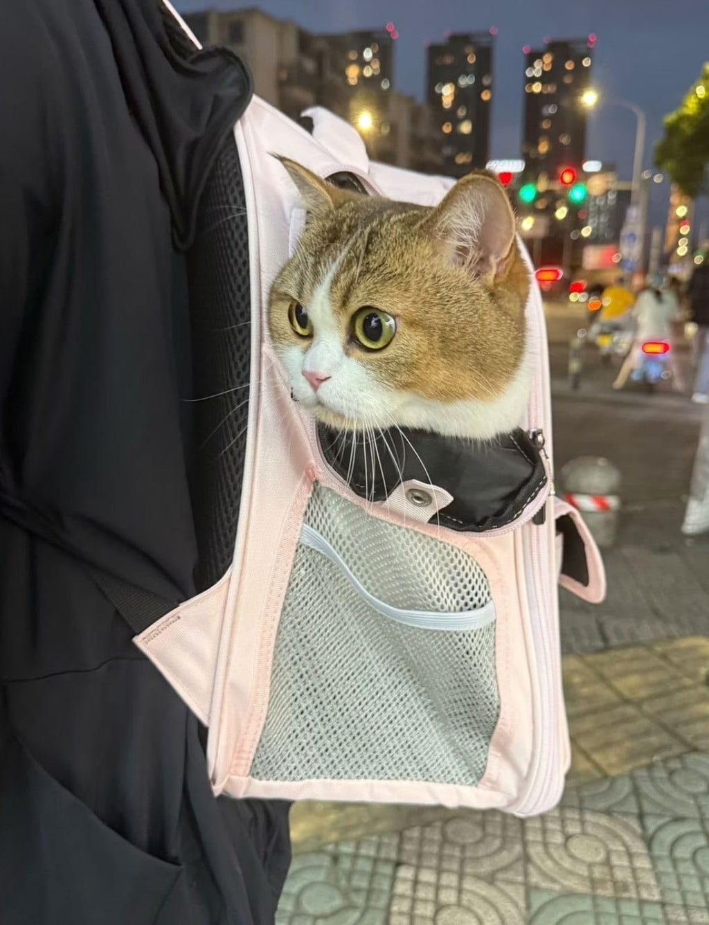 Cat Backpack Carrier for Cats and Small Dogs, Cute Puppy Backpack with Bow