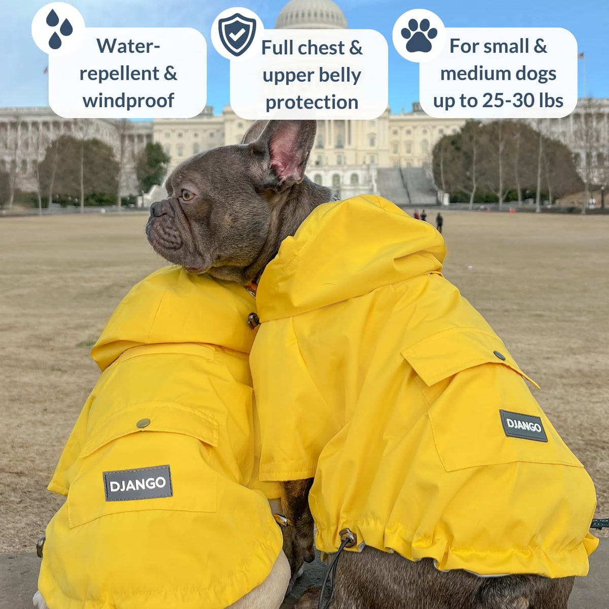 DJANGO Highland Dog Raincoat & Soft-Lined Rain Jacket - Yellow, Medium