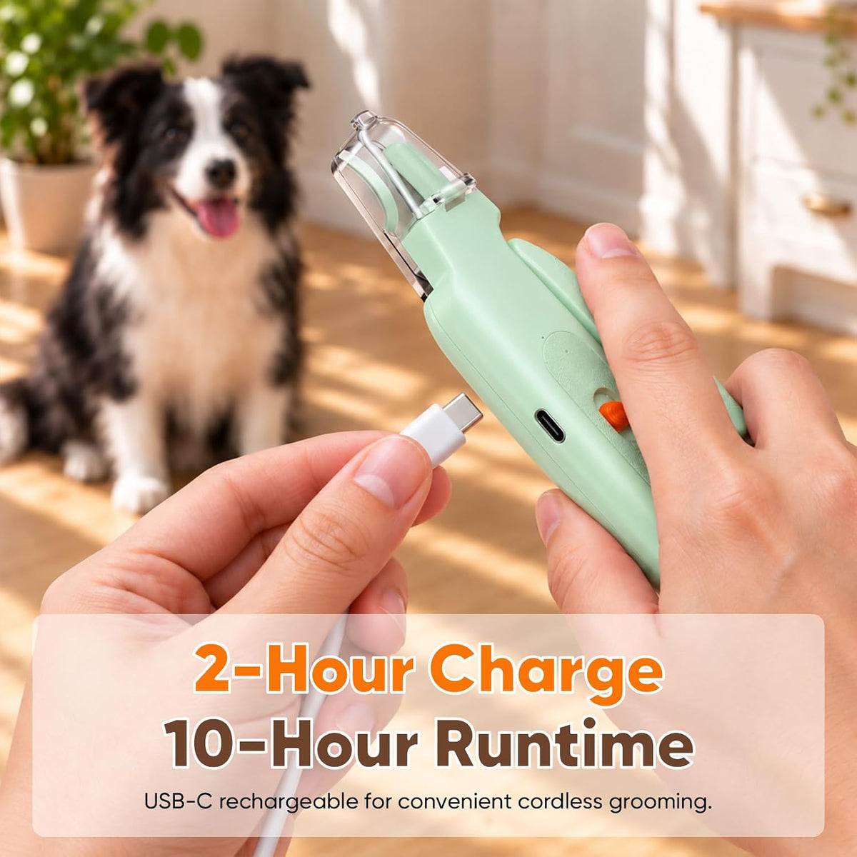 2-in-1 Dog & Cat Nail Clipper with Grinder, LED Light Rechargeable Grooming