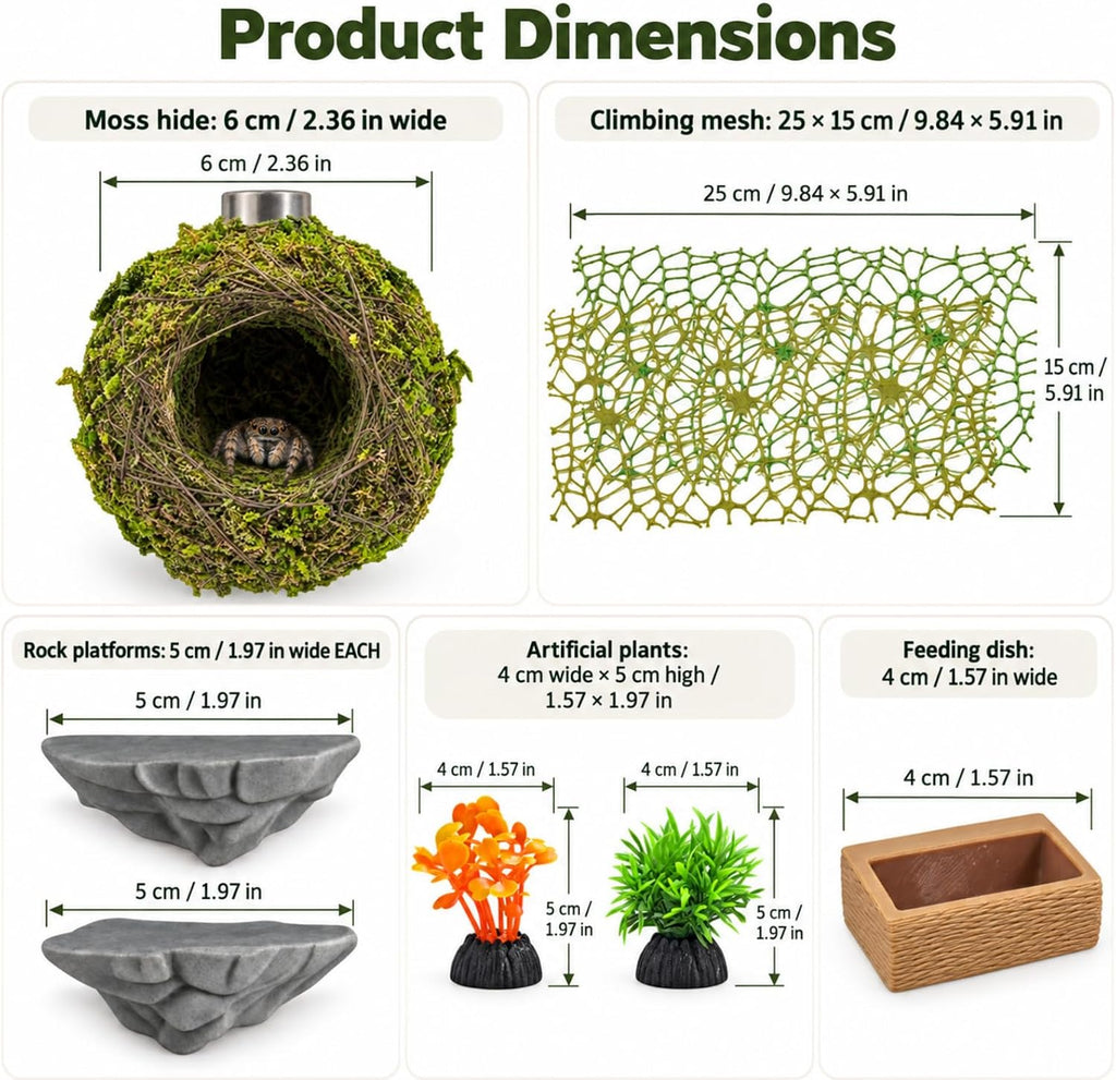 Jumping Spider Enclosure Accessories Kit Natural Habitat