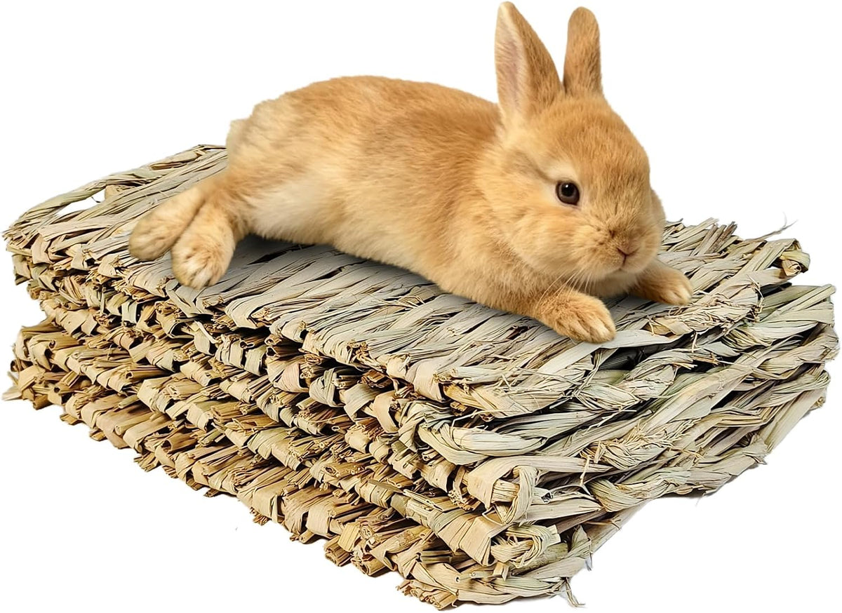 kathson 5PCS Rabbits Grass Mat Natural Woven Bunny Bedding Mats Chew Toy