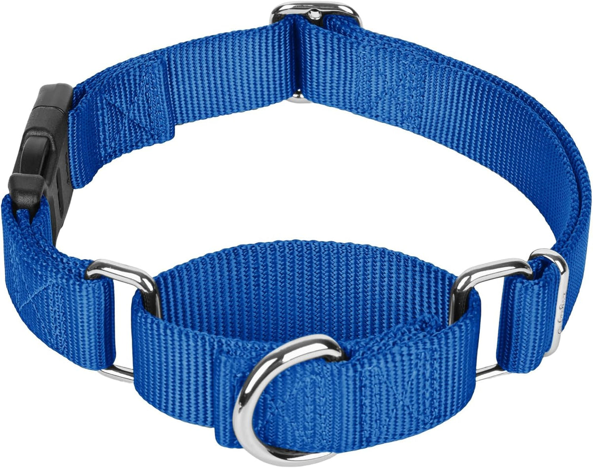 Martingale Collar with Quick Release Buckle for Medium Large Dog