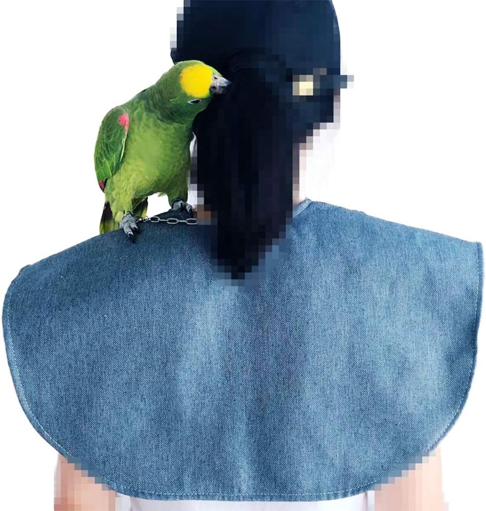 QBLEEV Parrot Anti-Scratch Shoulder Protector Hang Bird Anklet&Toys