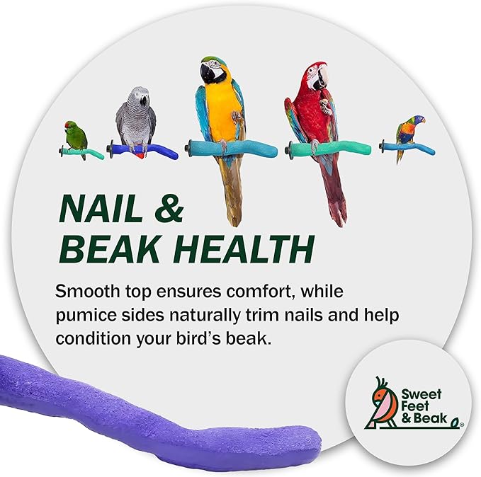 Sweet Feet and Beak Brid Cage Safety Pumice Perch - Image 8