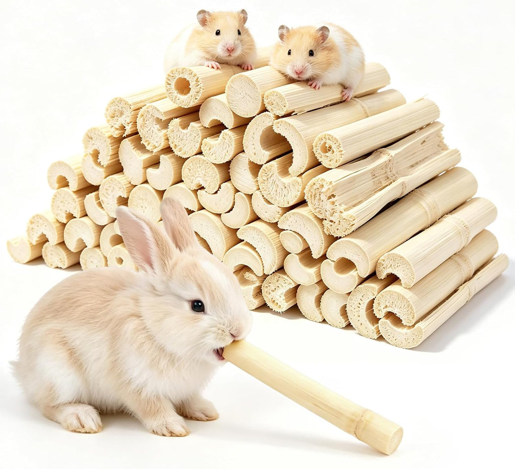 2.5 LB Sweet Bamboo Sticks Bulk Pack for Rabbits Small Animals