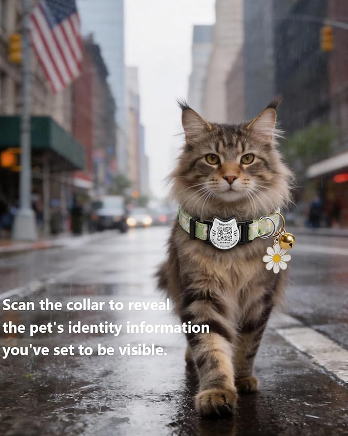 QR Code Cat Collar with Breakaway Safety Buckle, Adjustable Cotton Kitten - Image 2