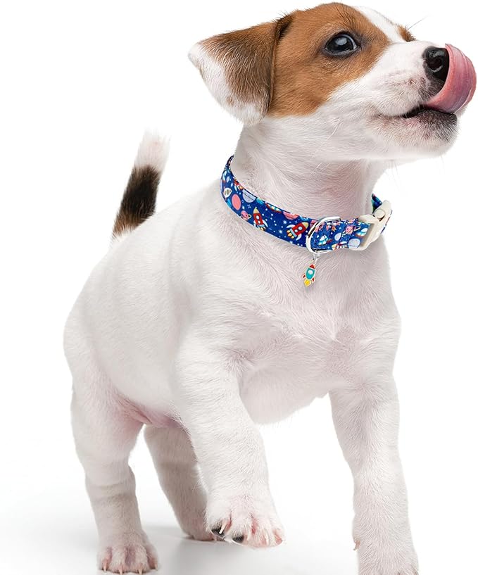 Faygarsle Space Theme Dog Collar - Image 6