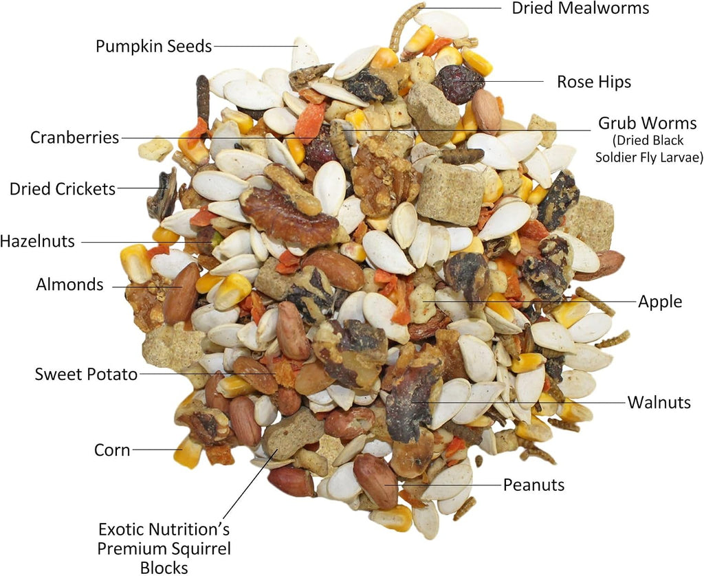 Exotic Nutrition Squirrel Complete (1.75 lb.) - Healthy Natural Food - Nutritional Diet for Pet & Captive Squirrels - Ground, Grey, Flying Squirrels, & Chipmunks