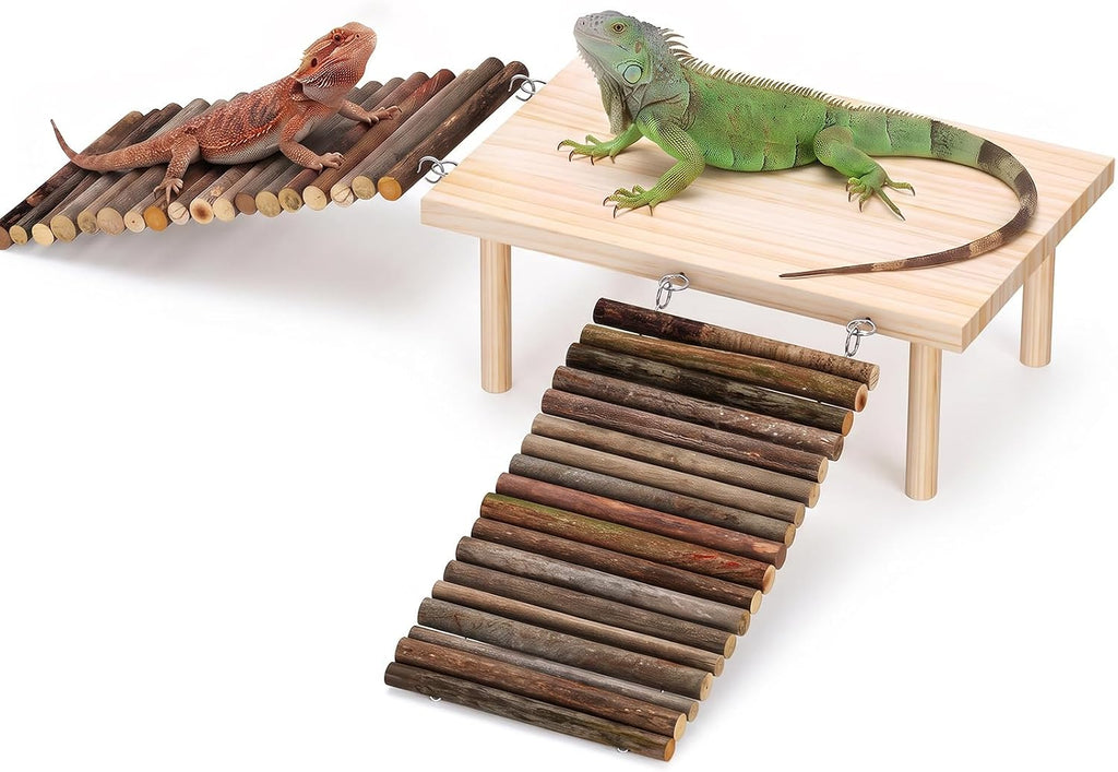 ZooZoo Bearded Dragon Basking Platform & Hide Cave with Dual Ramps, 12x8in