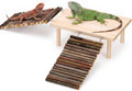 ZooZoo Bearded Dragon Basking Platform & Hide Cave with Dual Ramps, 12x8in