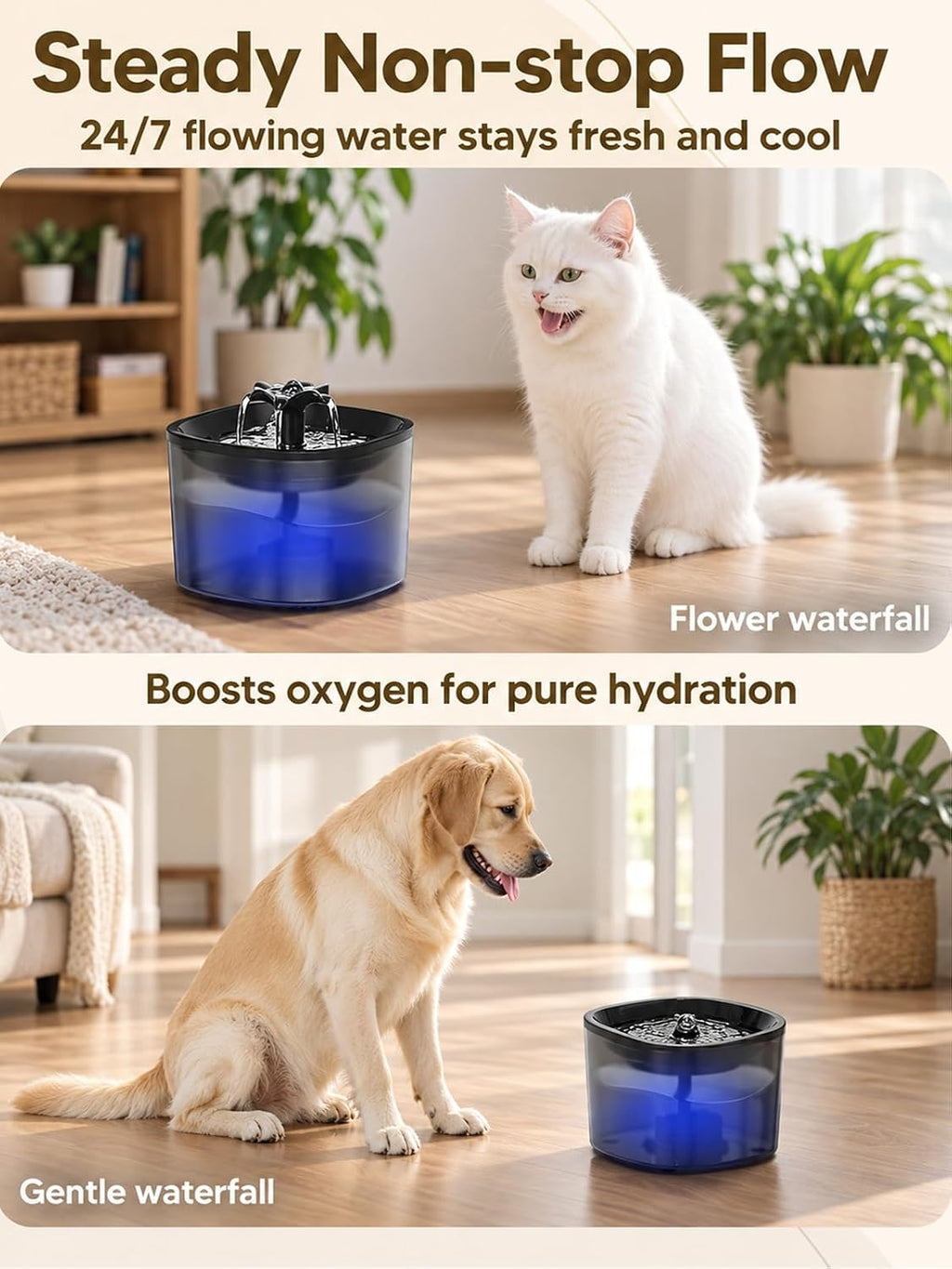 Automatic Cat Feeder and Cat Water Fountain, Timed Dry Food Dispenser