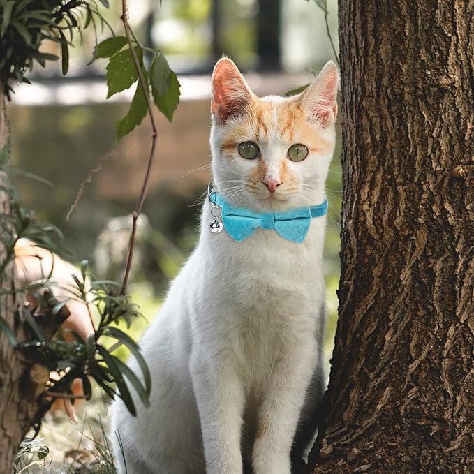 Sliverdew 2 Pcs Velvet Cat Bow Tie Collar Breakaway Cat Collar - Image 6