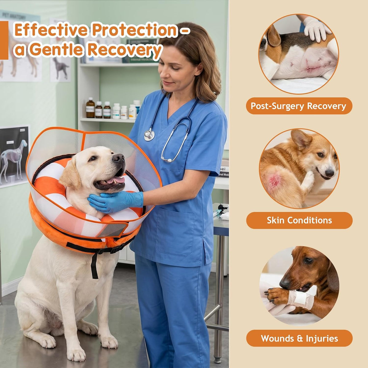 Avont Dog Recovery Suit After Surgery Bundle with Inflatable Dog Cone Collar with Transparent Shield