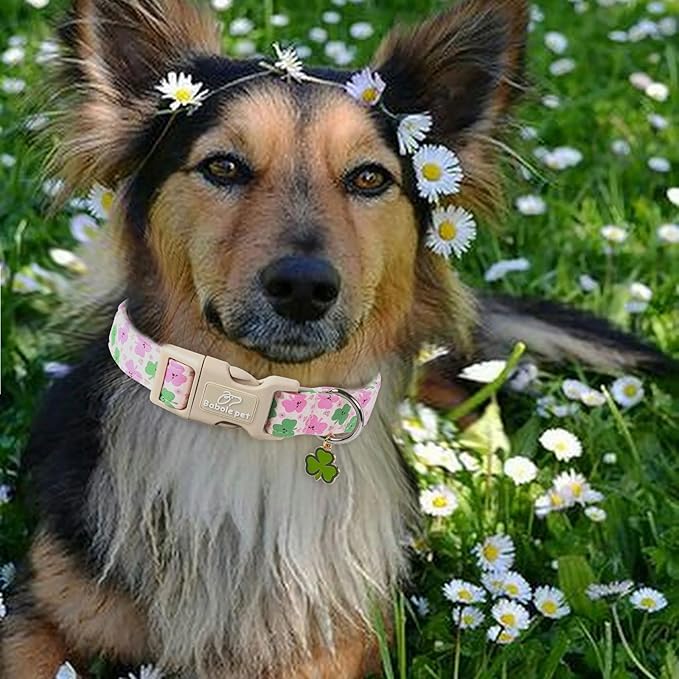 St Patricks Day Dog Collar for Small Dogs - Image 2