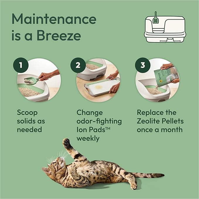 Purina Tidy Cats Litter System, Non-Clumping, Breeze XL All-in-One Odor Control - Image 6
